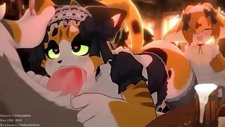 Calico cat gives out a bj involving buyer