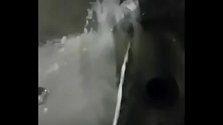 Beefy Cum Blast into Shed Trough 720p