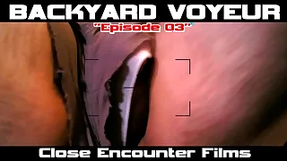 PROMO - Backyard Cease operations SURVEILLANCE Voyeur - Episode 03 - PROMO