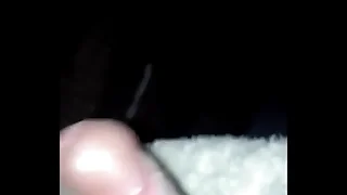 stodgy 10211427671355988
