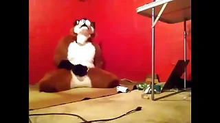 Foxy having some fun.