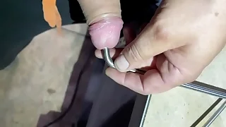 toy